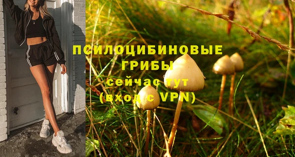 гашик Алексин