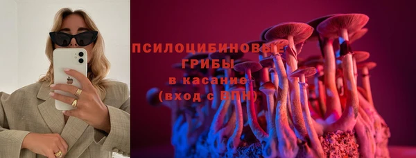гашик Алексин
