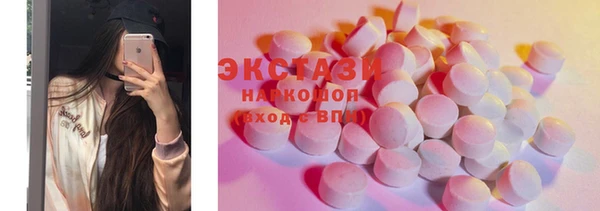 гашик Алексин