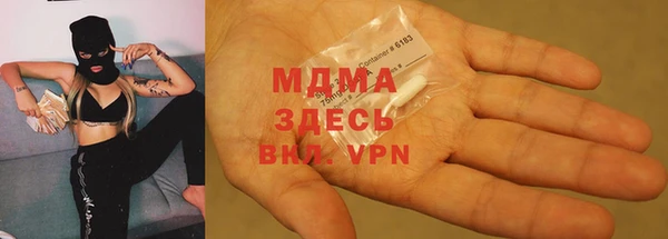 гашик Алексин