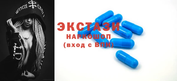 гашик Алексин