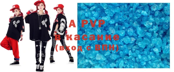 гашик Алексин