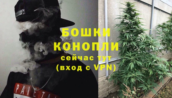ешки Алзамай
