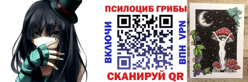 купить наркотик  Амурск  площадка состав  Галлюциногенные грибы Cubensis 